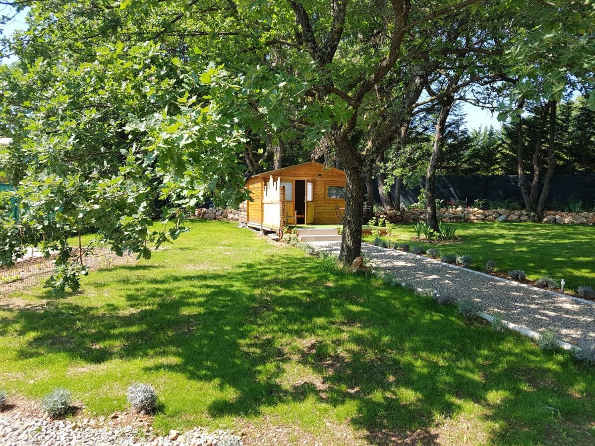 Les Lezards 2 Au Soleil Draguignan Bed & Breakfast Bagian luar foto