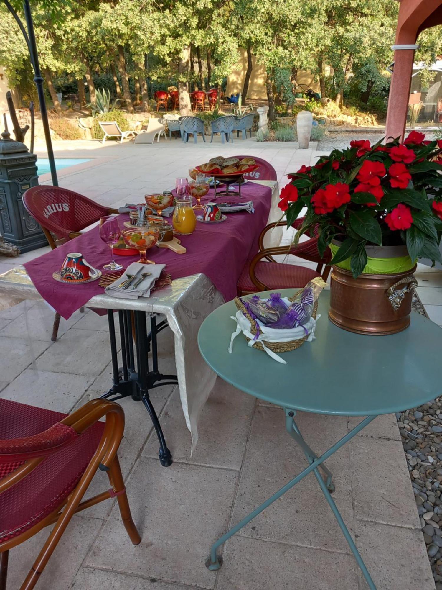 Les Lezards 2 Au Soleil Draguignan Bed & Breakfast Bagian luar foto